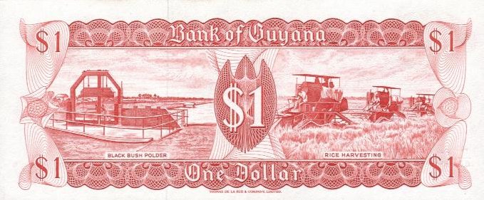 Back of Guyana p21g: 1 Dollar from 1966