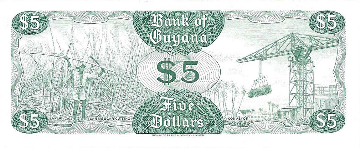 Back of Guyana p22a: 5 Dollars from 1966