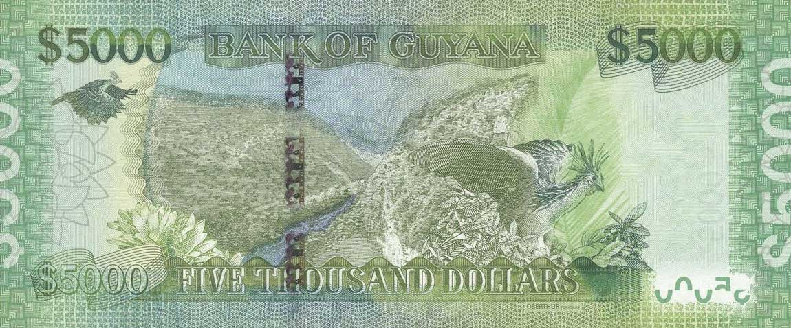 Back of Guyana p40a: 5000 Dollars from 2013