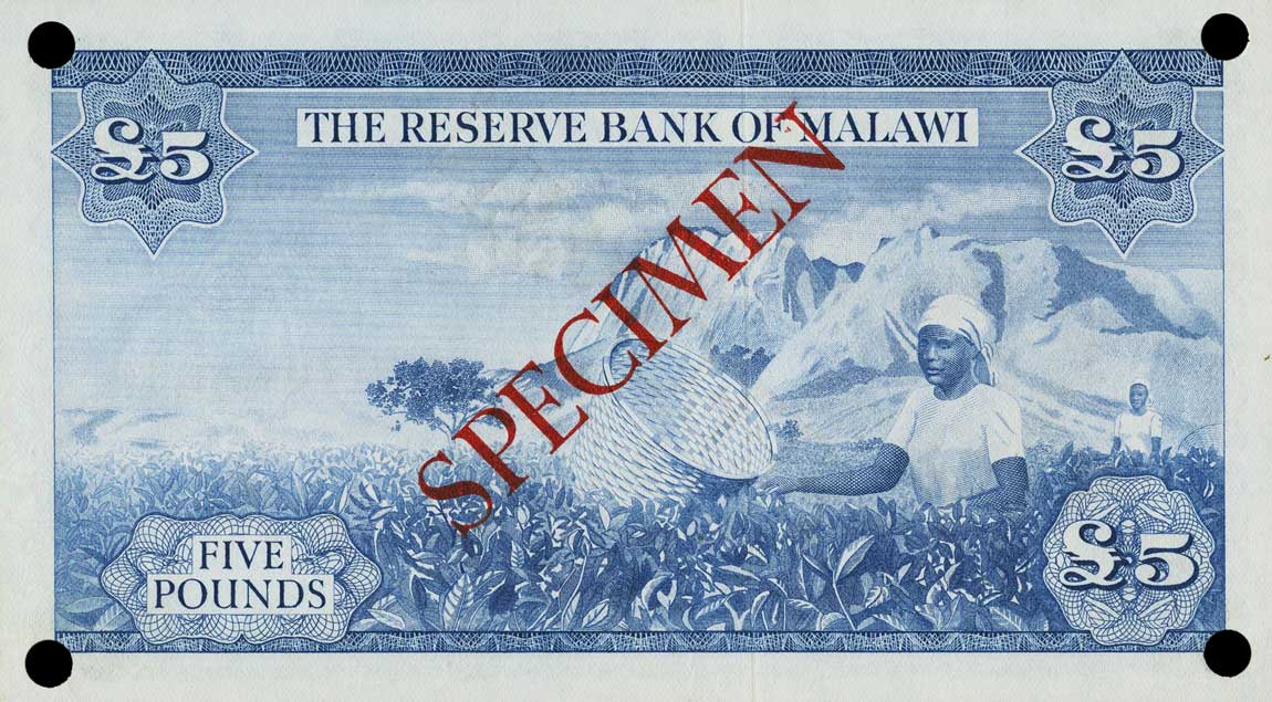 Back of Malawi p4s: 5 Pounds from 1964