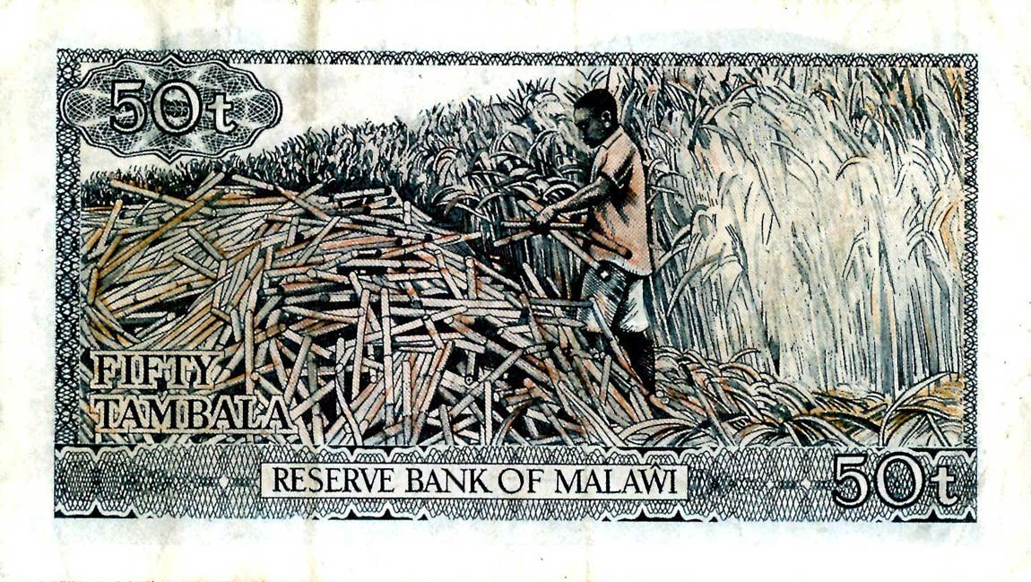 Back of Malawi p9a: 50 Tambala from 1973
