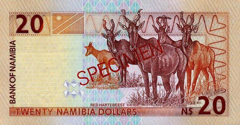 Back of Namibia p5s: 20 Namibia Dollars from 1996