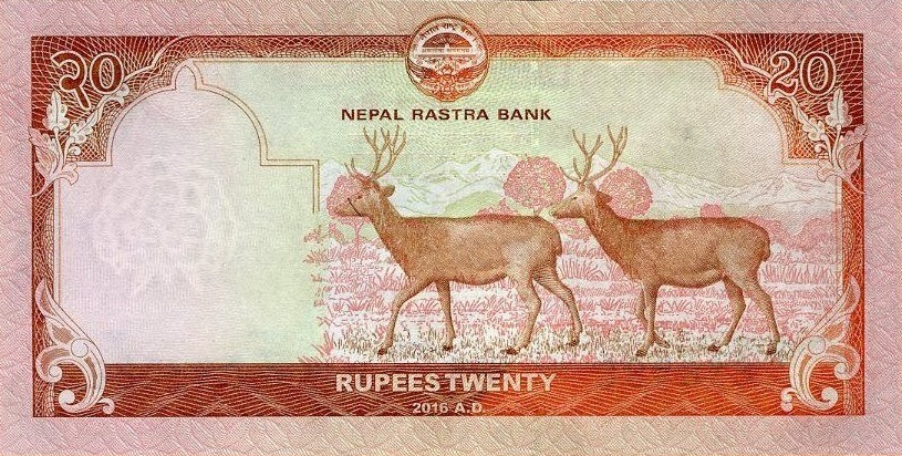 Back of Nepal p78: 20 Rupees from 2016