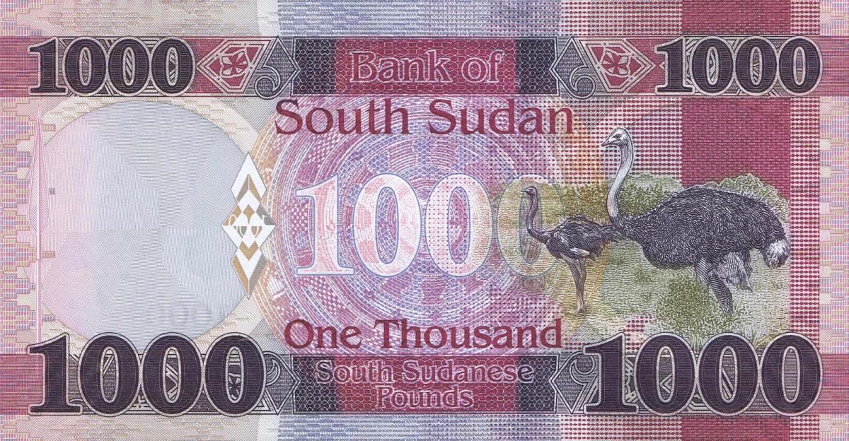 Back of South Sudan p17b: 1000 Pounds from 2021