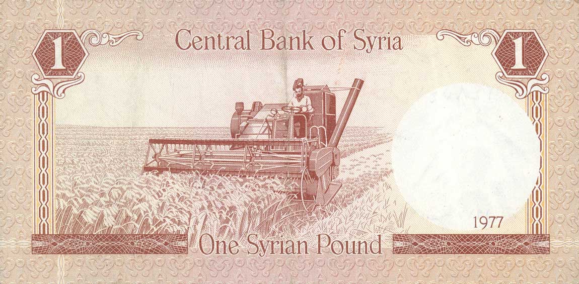 Back of Syria p99a: 1 Pound from 1977