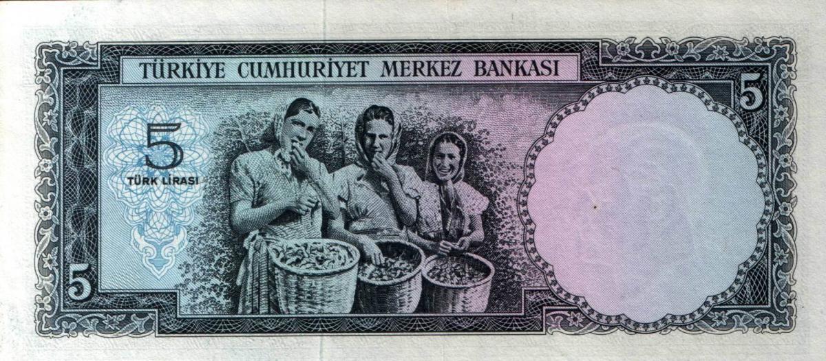 Back of Turkey p174a: 5 Lira from 1965