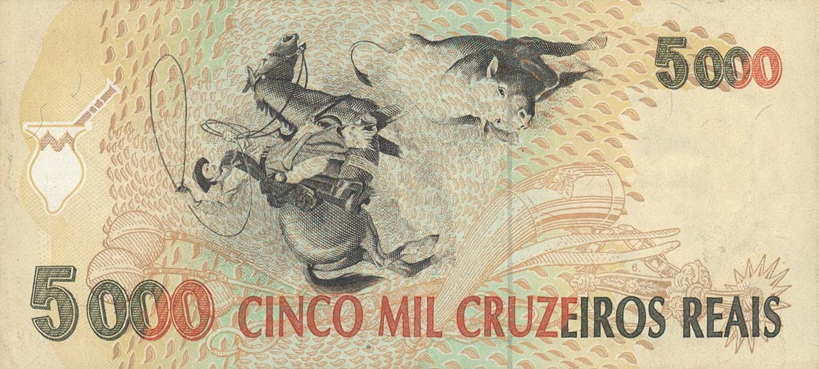 Back of Brazil p241: 5000 Cruzeiro Real from 1993