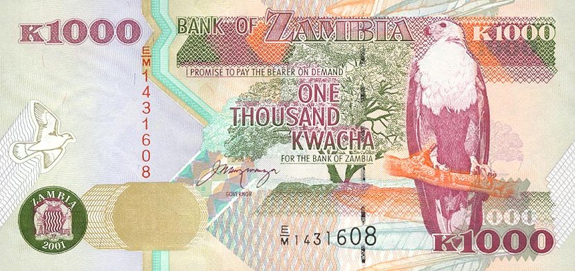 Front of Zambia p40b: 1000 Kwacha from 2001