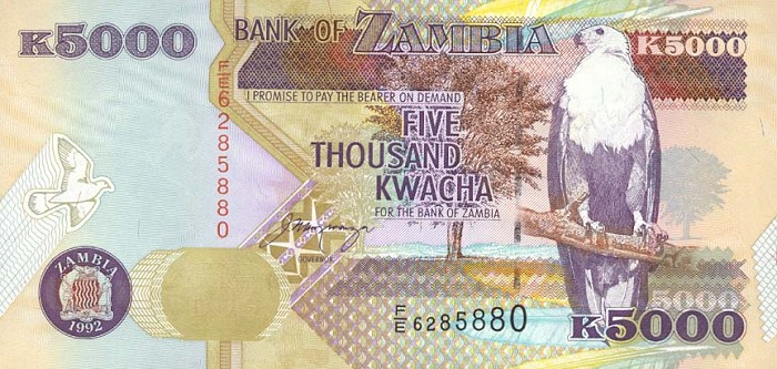 Front of Zambia p41a: 5000 Kwacha from 1992