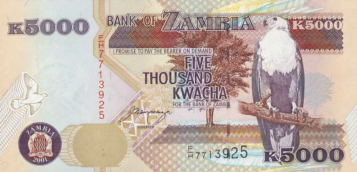Front of Zambia p41b: 5000 Kwacha from 2001