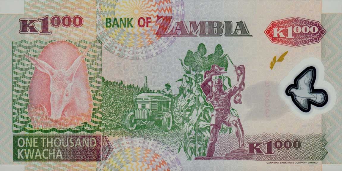 Back of Zambia p44c: 1000 Kwacha from 2004