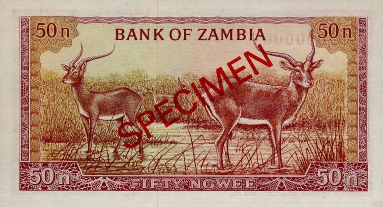 Back of Zambia p9s: 50 Ngwee from 1969