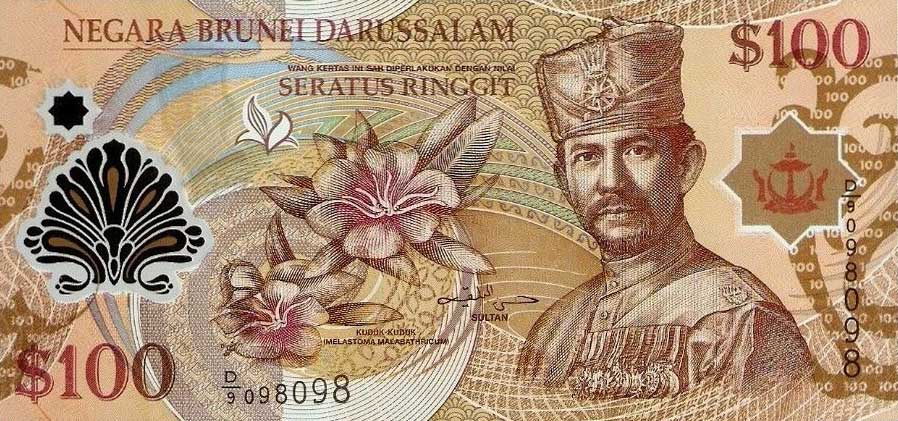 Front of Brunei p29b: 100 Ringgit from 2008