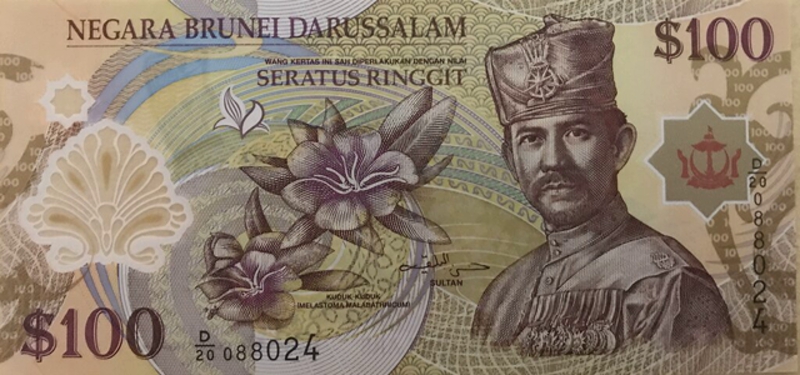 Front of Brunei p29c: 100 Ringgit from 2013
