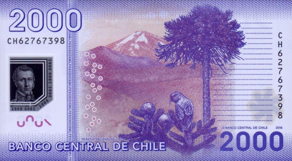 Back of Chile p162f: 2000 Pesos from 2016