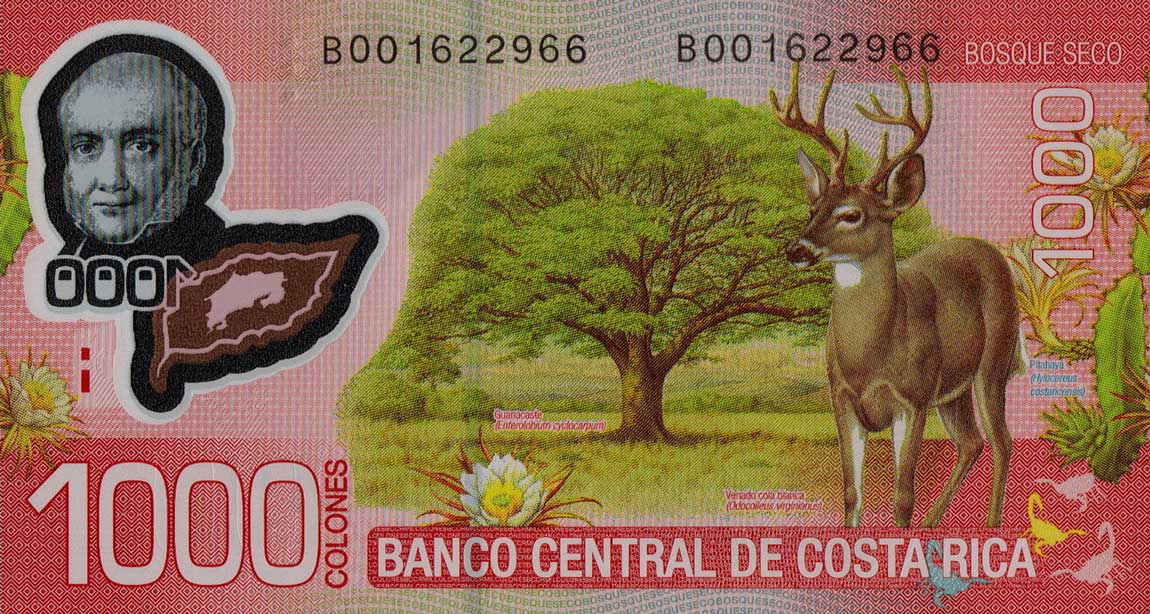 Back of Costa Rica p274b: 1000 Colones from 2013