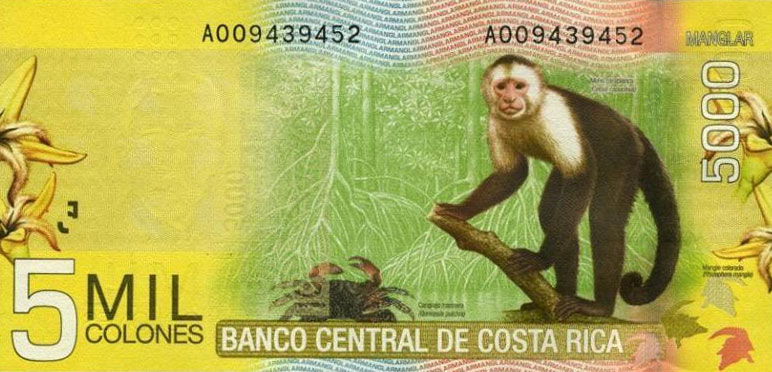 Back of Costa Rica p276a: 5000 Colones from 2009