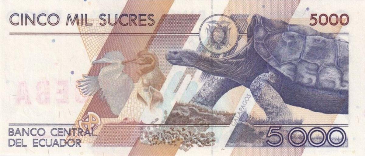 Back of Ecuador p128s4: 5000 Sucres from 1991