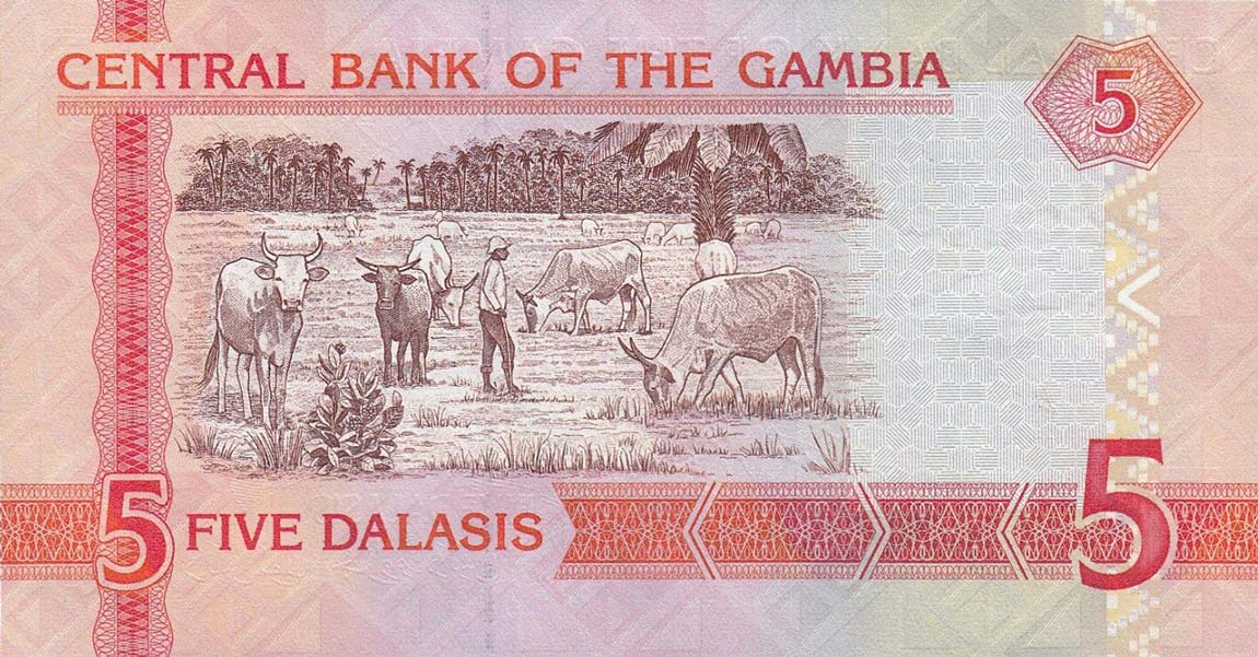 Back of Gambia p25c: 5 Dalasis from 2006
