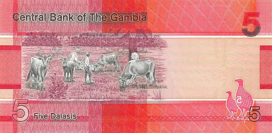 Back of Gambia p37: 5 Dalasis from 2019