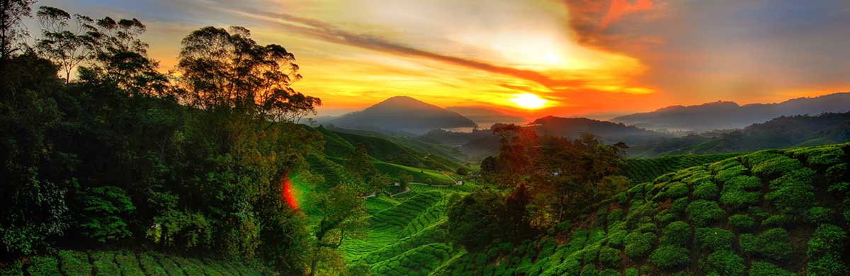 Photo of Cameroon