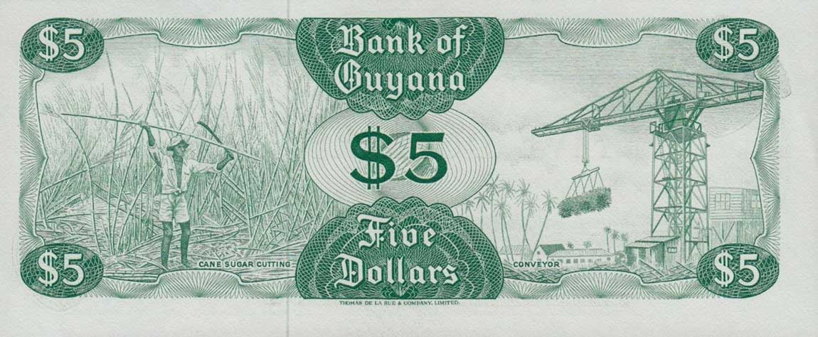 Back of Guyana p22c: 5 Dollars from 1966