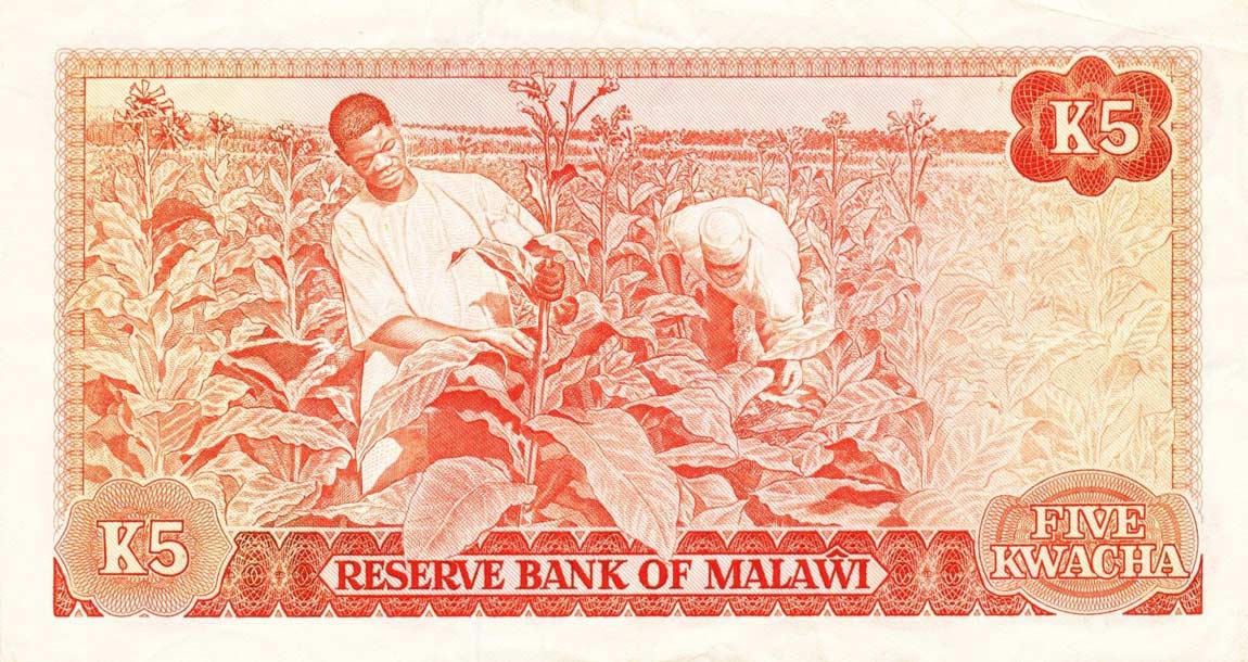 Back of Malawi p15e: 5 Kwacha from 1983