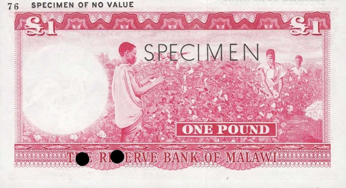 Back of Malawi p3Act: 1 Pound from 1964