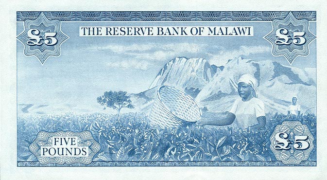 Back of Malawi p4a: 5 Pounds from 1964