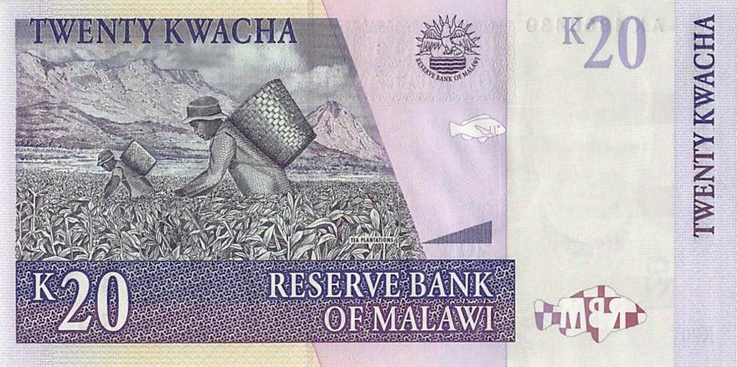 Back of Malawi p52a: 20 Kwacha from 2004