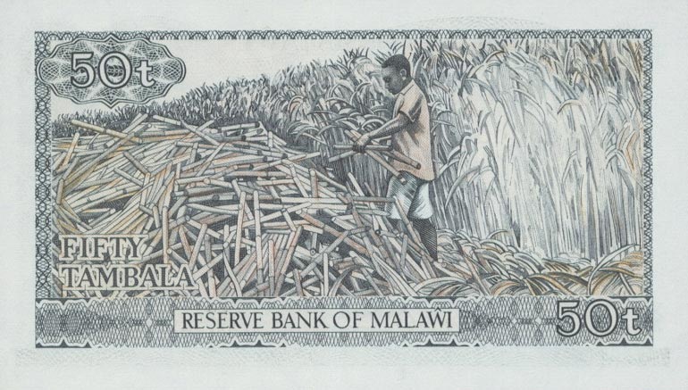 Back of Malawi p9c: 50 Tambala from 1975