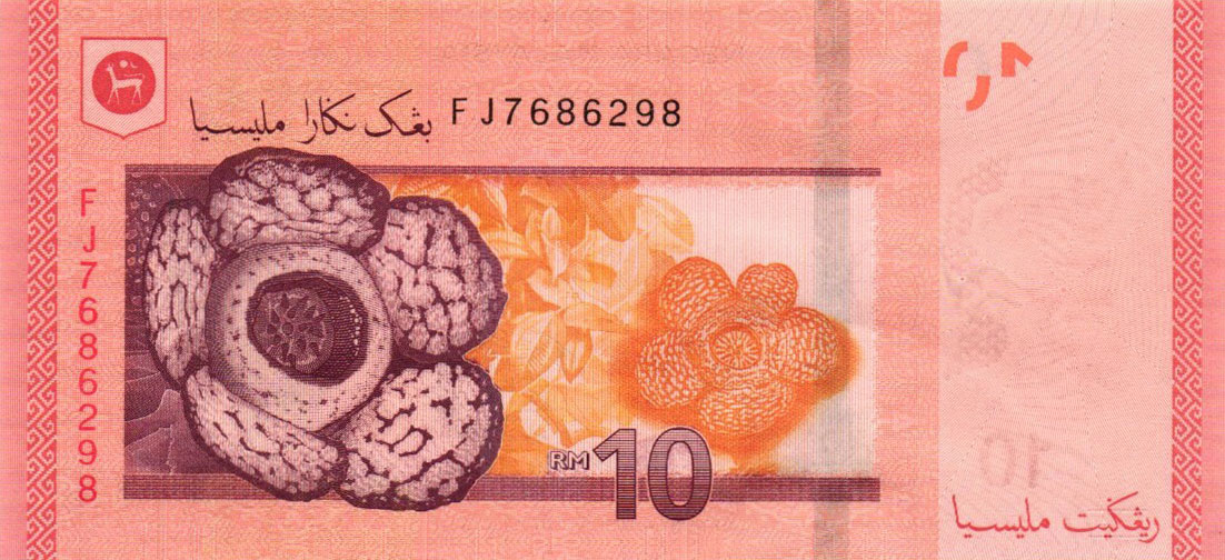 Back of Malaysia p53c: 10 Ringgit from 2021