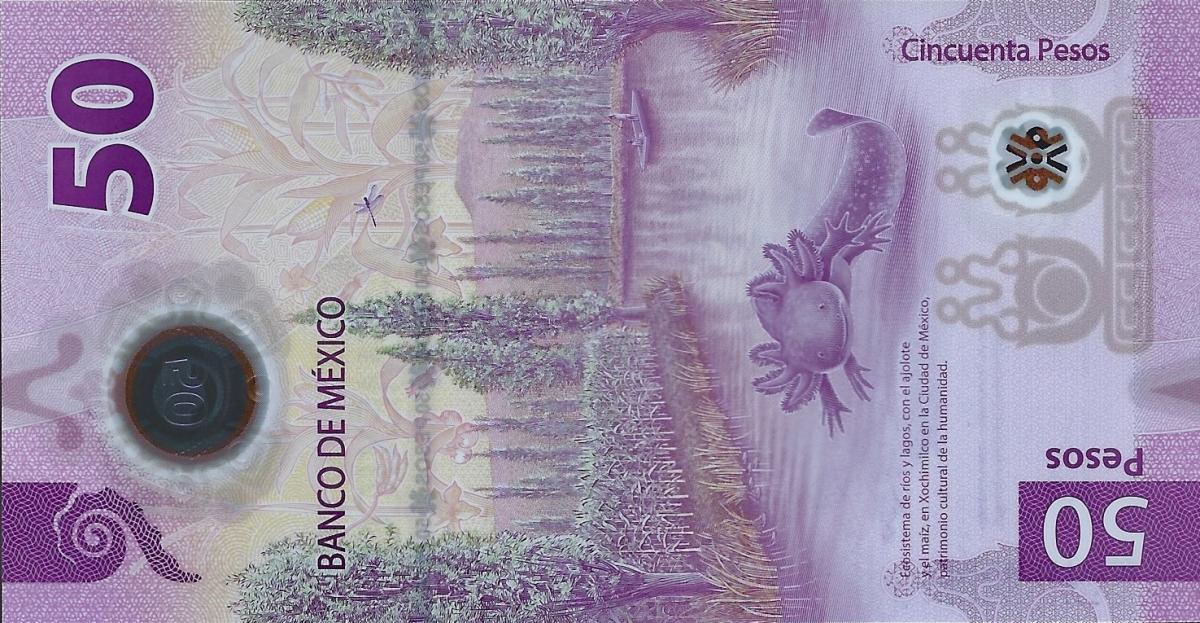 Back of Mexico p130Ac: 50 Pesos from 2023