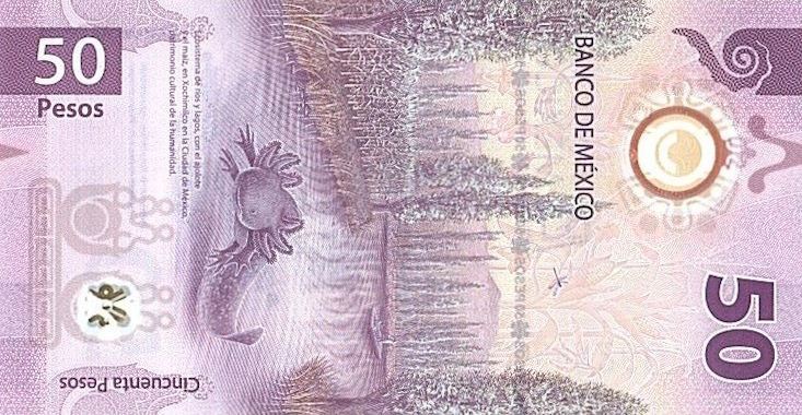 Back of Mexico p130Ad: 50 Pesos from 2024