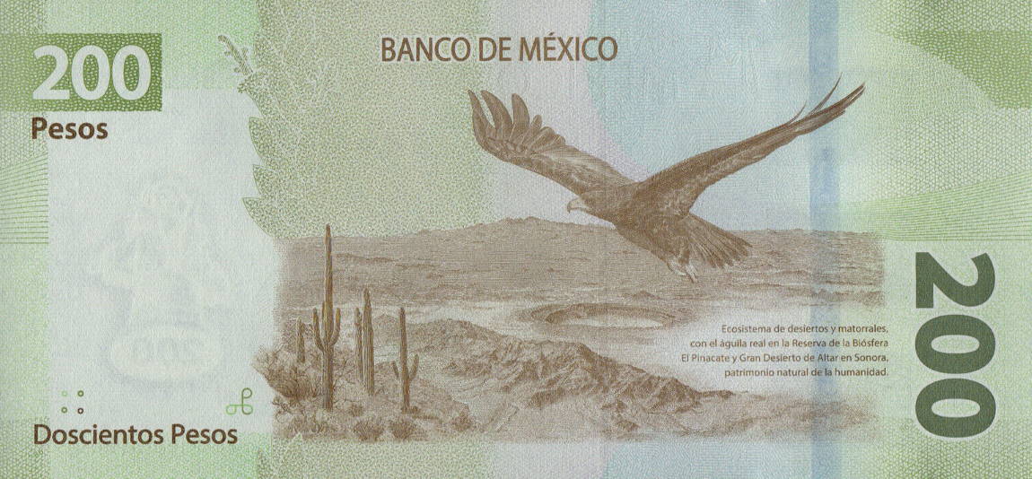 Back of Mexico p135b: 200 Pesos from 2019