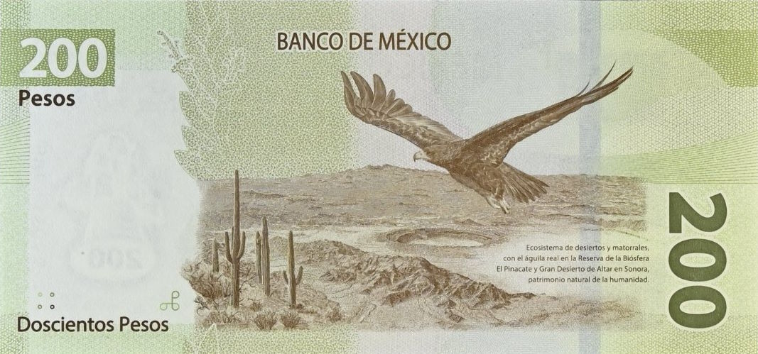 Back of Mexico p132b: 200 Pesos from 2019