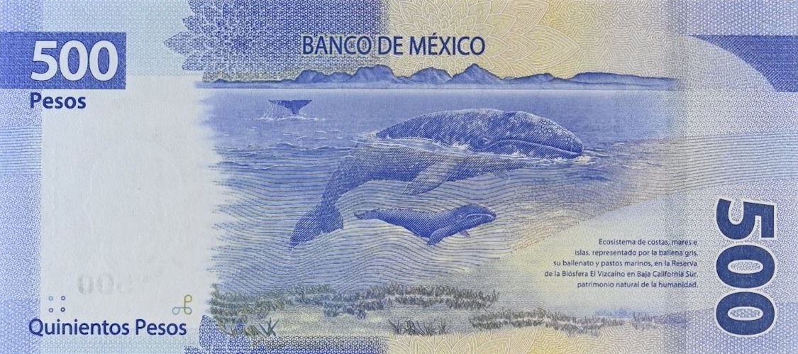 Back of Mexico p133f: 500 Pesos from 2022