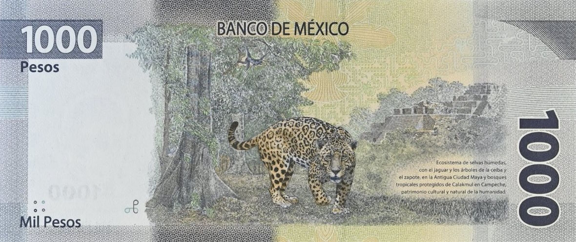 Back of Mexico p134d: 1000 Pesos from 2023