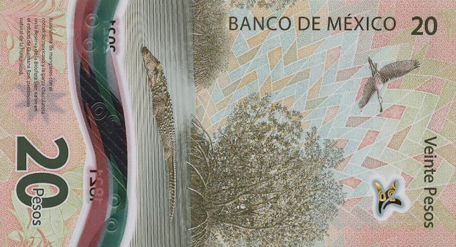 Back of Mexico p136b: 20 Pesos from 2022