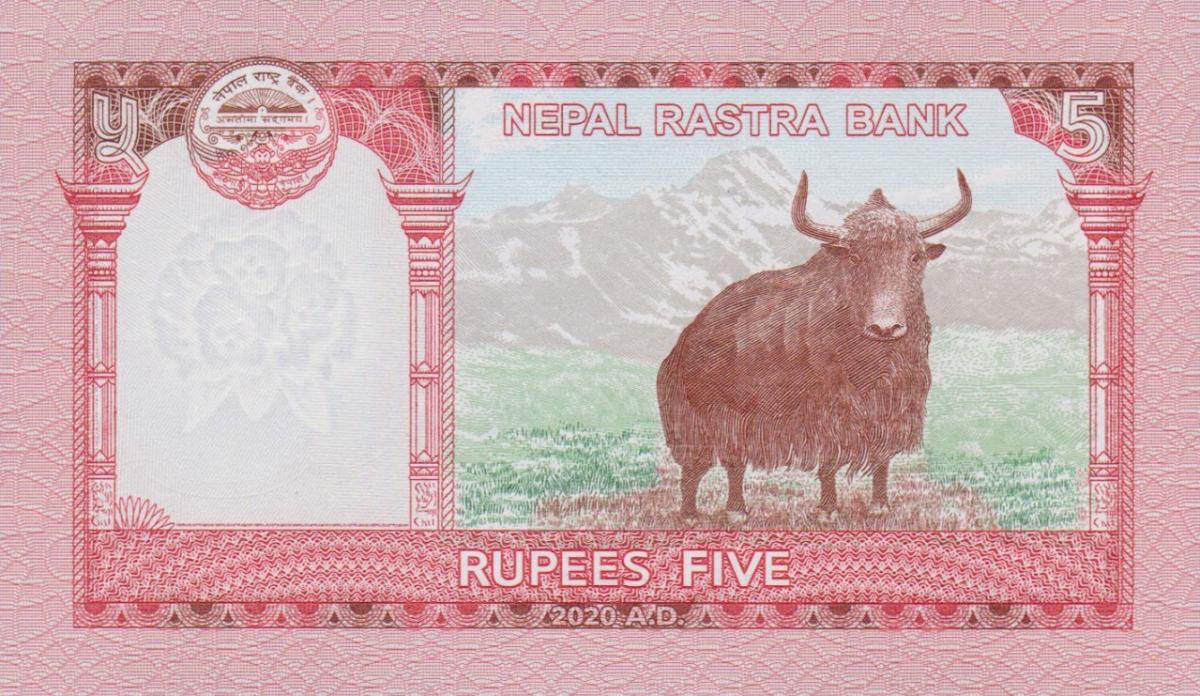 Back of Nepal p76b: 5 Rupees from 2020
