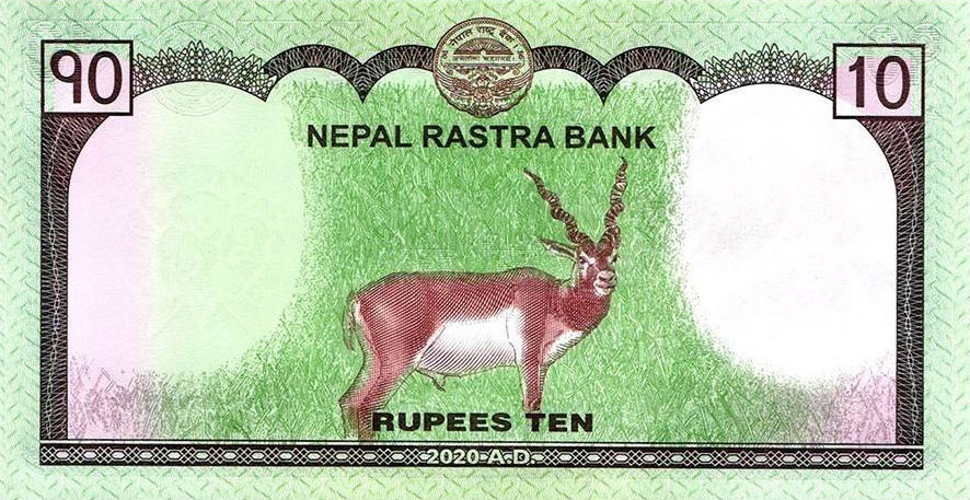 Back of Nepal p77b: 10 Rupees from 2020