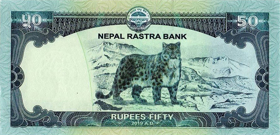 Back of Nepal p79b: 50 Rupees from 2019