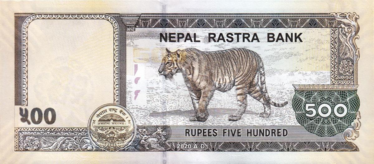 Back of Nepal p81b: 500 Rupees from 2020