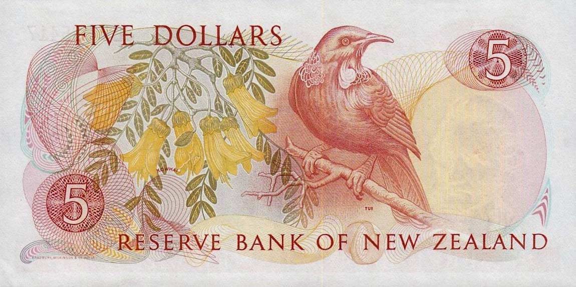 Back of New Zealand p171b: 5 Dollars from 1985