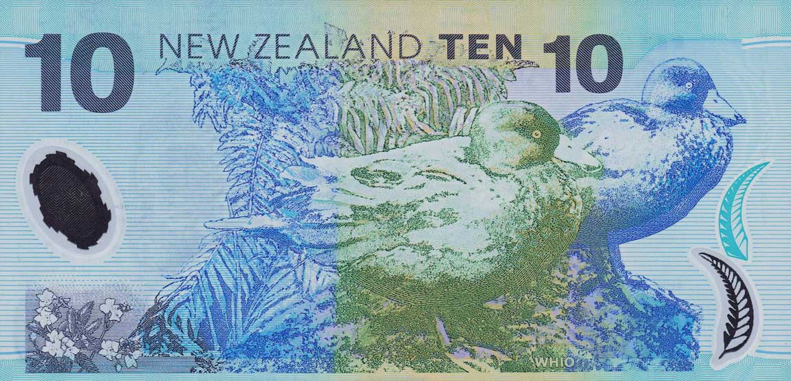 Back of New Zealand p186c: 10 Dollars from 1999