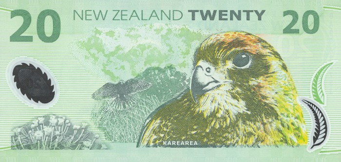Back of New Zealand p187a: 20 Dollars from 1999