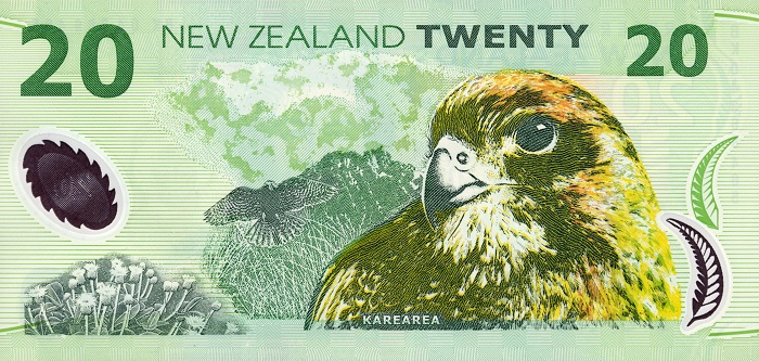 Back of New Zealand p187b: 20 Dollars from 1999