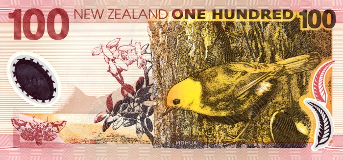 Back of New Zealand p189a: 100 Dollars from 1999
