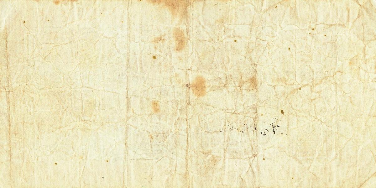 Back of New Zealand pS131: 10 Shillings from 1924