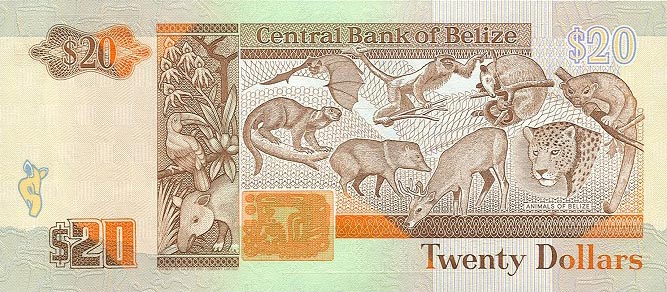 Back of Belize p55: 20 Dollars from 1990